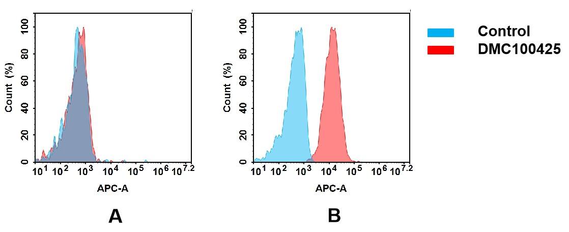 CD63 Antibody (DMC425) - Chimeric