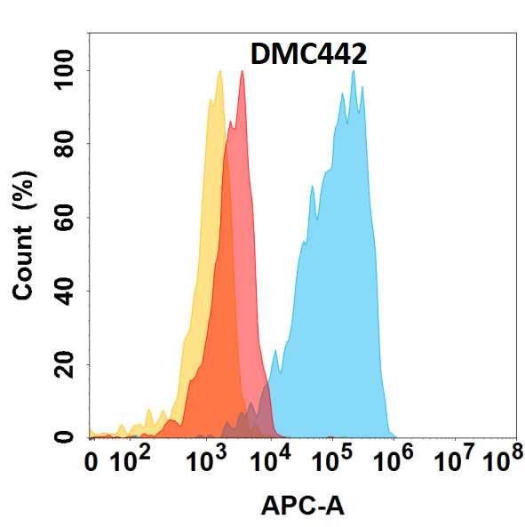 Chondrolectin Antibody (DMC442) - Chimeric