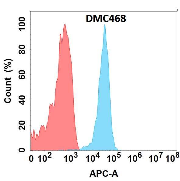 CLEC-1 Antibody (DMC468) - Chimeric