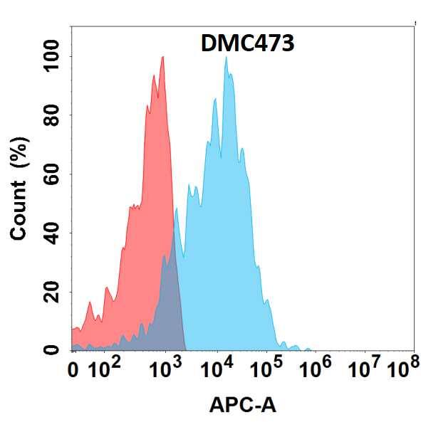 Endomucin/Mucin -14 Antibody (DMC473) - Chimeric