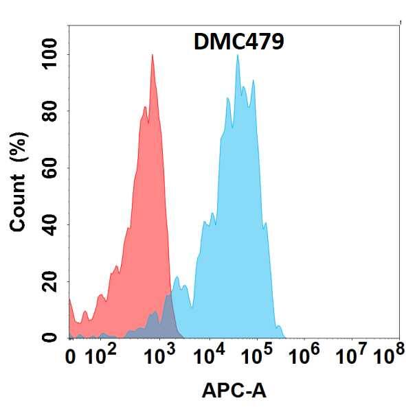 APCDD1 Antibody (DMC479) - Chimeric