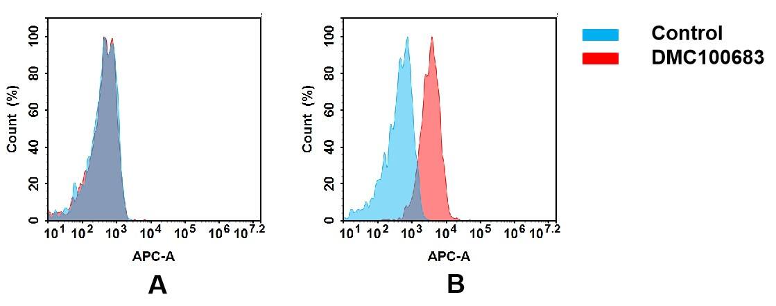Teneurin-4 Antibody (DMC683) - Chimeric