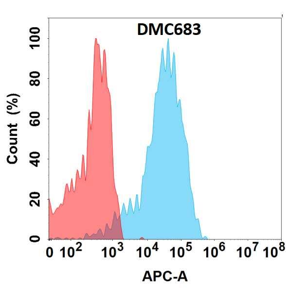 Teneurin-4 Antibody (DMC683) - Chimeric