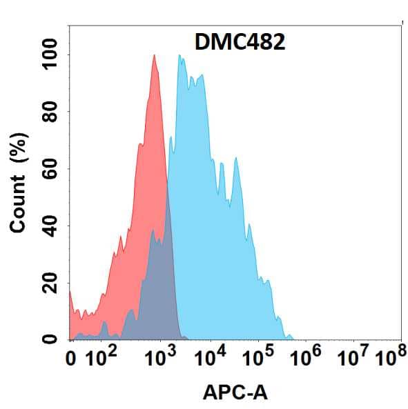 C5L2/GPR77 Antibody (DMC482) - Chimeric