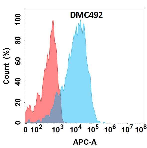GPR75 Antibody (DMC492) - Chimeric