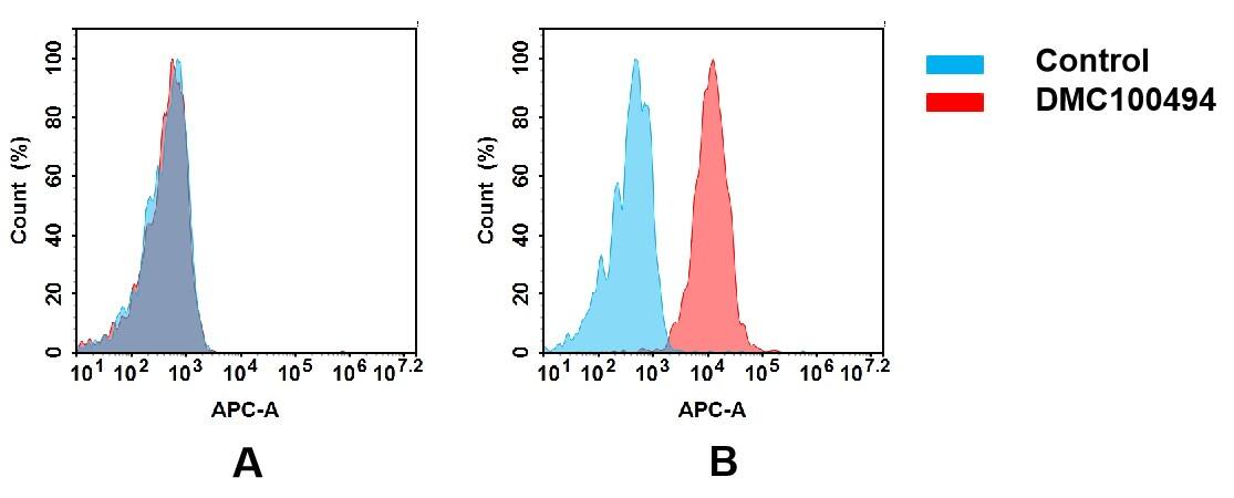 Fc gamma RIIA/CD32a Antibody (DMC494) - Chimeric