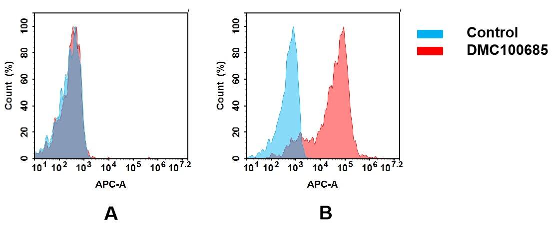 CEACAM6/CD66c Antibody (DMC685) - Chimeric