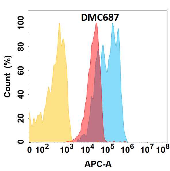 CXADR Antibody (DMC687) - Chimeric