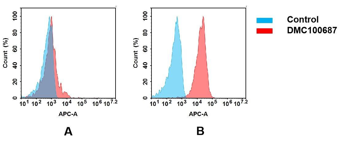 CXADR Antibody (DMC687) - Chimeric