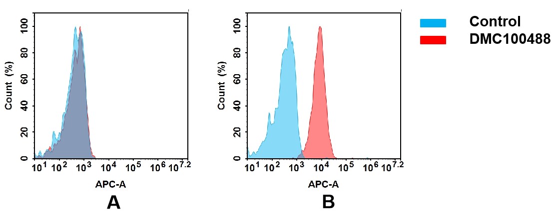 LIV-1/Zip6 Antibody (DMC488) - Chimeric
