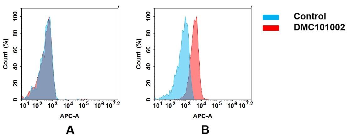 Abeta 40 Antibody (3D7) - Chimeric