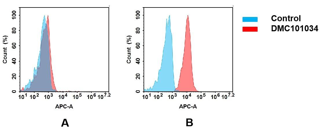 BTN3A2 Antibody (3G2) - Chimeric