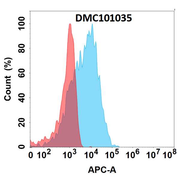 Calcitonin Antibody (7C1) - Chimeric