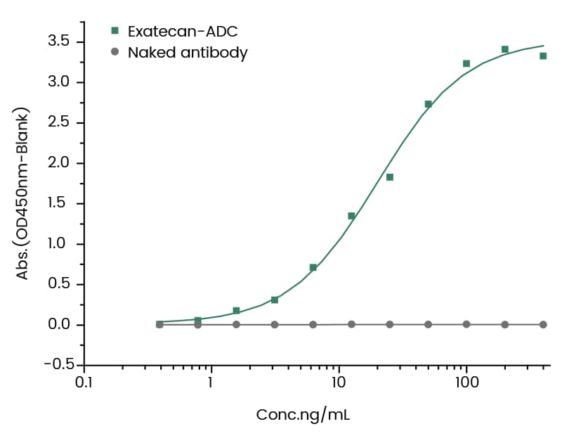 DXD Antibody (1) - Azide and BSA Free DXD Antibody (1) - Azide and BSA Free