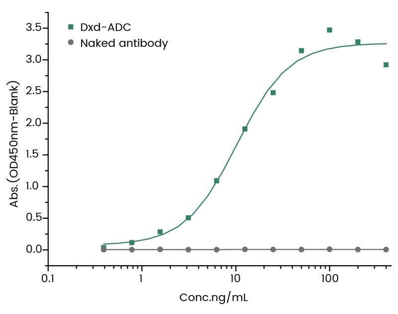 DXD Antibody (1) - Azide and BSA Free DXD Antibody (1) - Azide and BSA Free