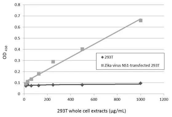 Zika Virus NS1 Antibody