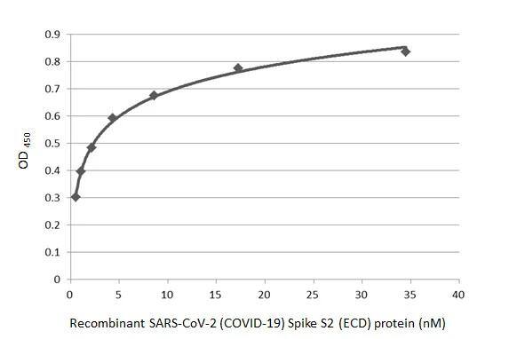 SARS Spike Protein Antibody (1A9)