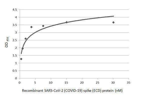 SARS Spike Protein Antibody (1A9)