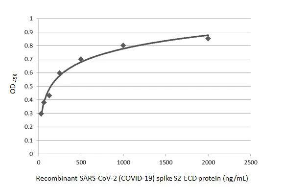 SARS Spike Protein Antibody (1A9)