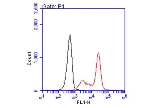 HLA A2 Antibody (BB7.2)