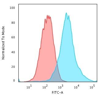 Cytokeratin 19 Antibody (rKRT19/799)
