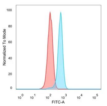 GCM2 Antibody (PCRP-GCM2-1B3)