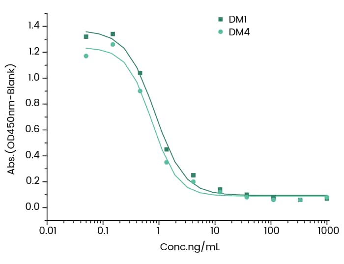 Mertansine/DM1 Antibody (7) - Azide and BSA Free Mertansine/DM1 Antibody (7) - Azide and BSA Free