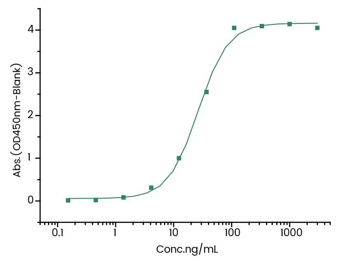 Mertansine/DM1 Antibody (7) - Azide and BSA Free Mertansine/DM1 Antibody (7) - Azide and BSA Free