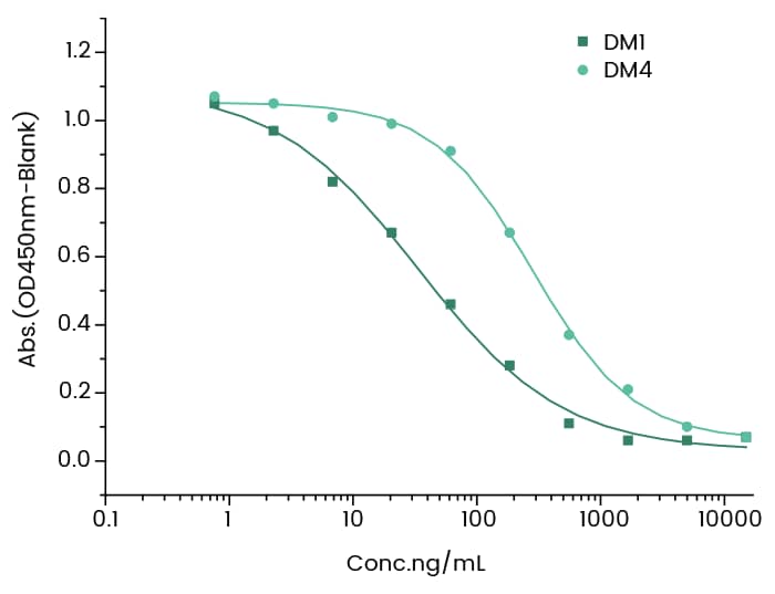 Mertansine/DM1 Antibody (2) - Azide and BSA Free Mertansine/DM1 Antibody (2) - Azide and BSA Free