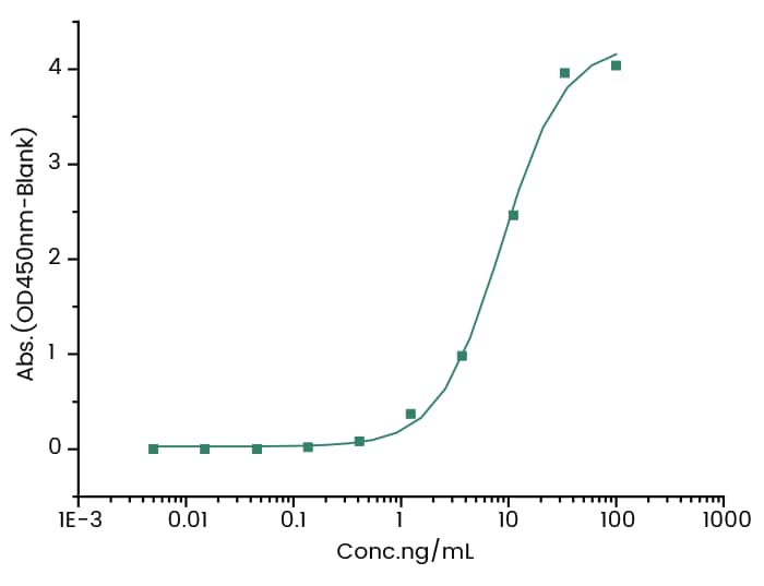 Mertansine/DM1 Antibody (2) - Azide and BSA Free Mertansine/DM1 Antibody (2) - Azide and BSA Free