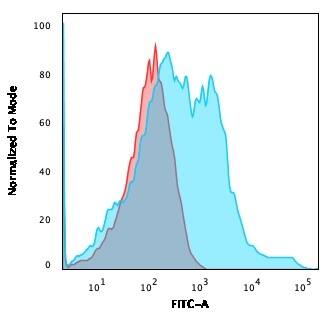 NF-H Antibody (rNF421) - Azide and BSA Free