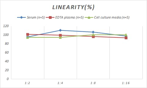 Rat S100B ELISA Kit (Chemiluminescence)