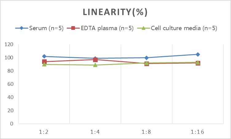 Rat Angiotensin 1-7 ELISA Kit (Colorimetric)