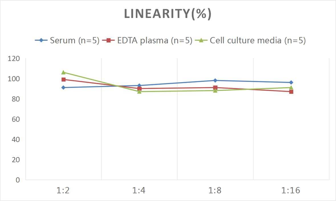 Mouse Dkk-3 ELISA Kit (Colorimetric)