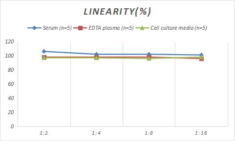 Rabbit FoxP3 ELISA Kit (Colorimetric)