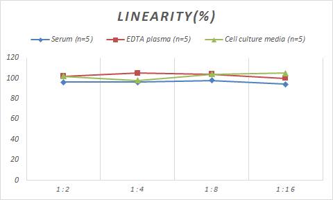 Monkey SCF/c-kit Ligand ELISA Kit (Colorimetric)