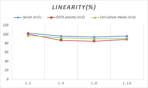 Mouse HO-2/HMOX2 ELISA Kit (Colorimetric)