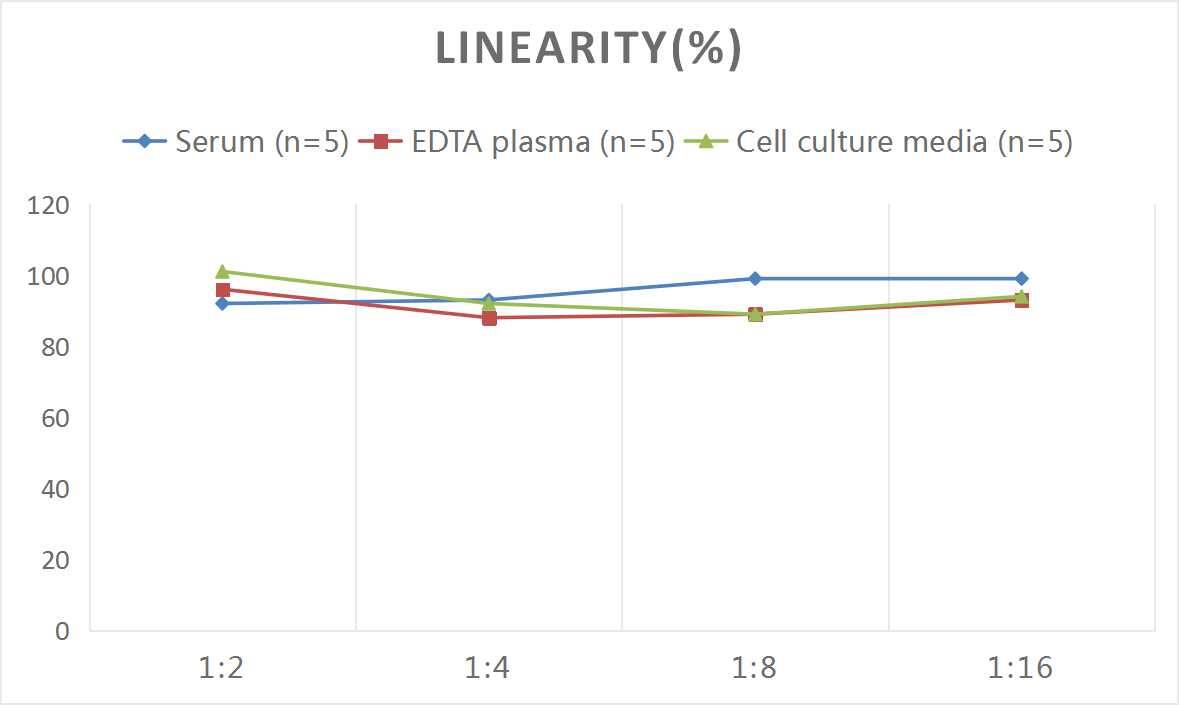 Mouse DNASE1 ELISA Kit (Colorimetric)