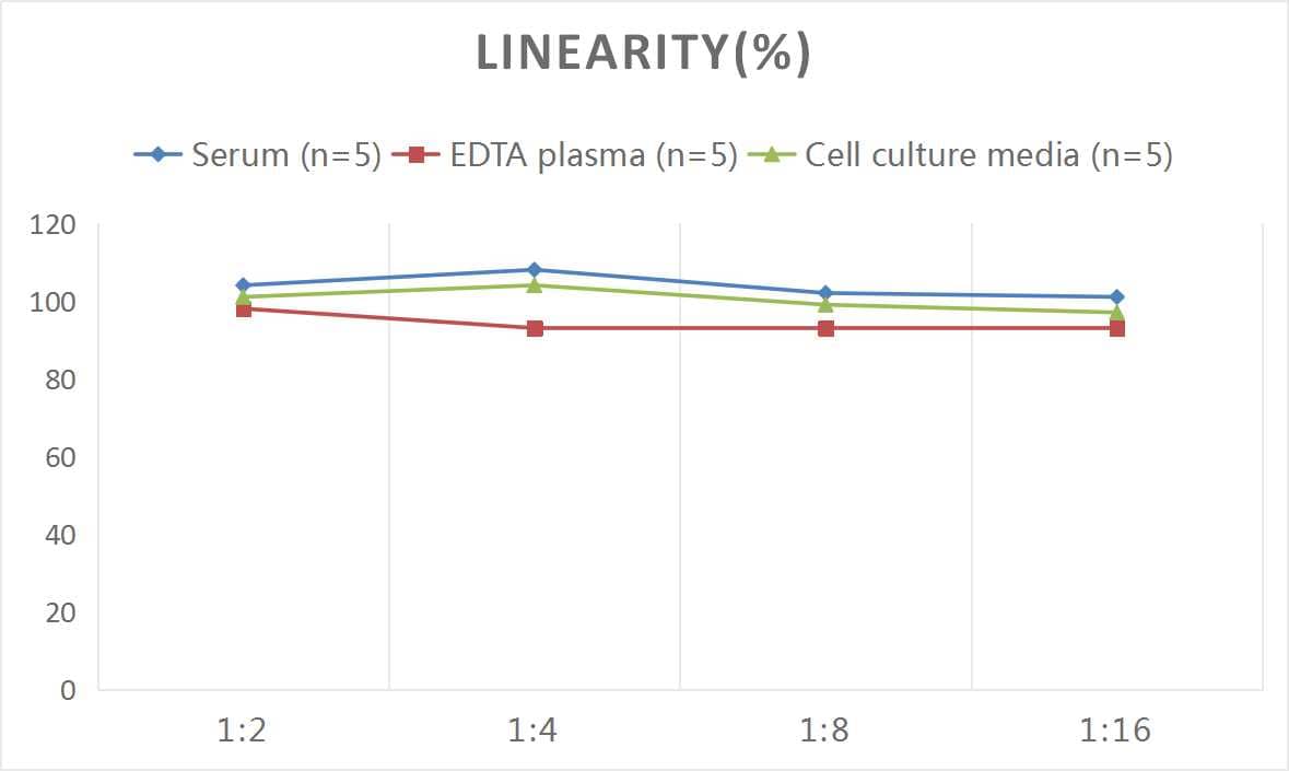 Rat E-Cadherin ELISA Kit (Colorimetric)