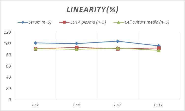 Monkey EGF ELISA Kit (Colorimetric)