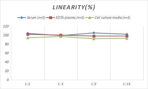 Rabbit CXCL16 ELISA Kit (Colorimetric)