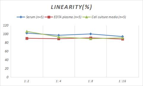 Rat IRE1 alpha ELISA Kit (Colorimetric)