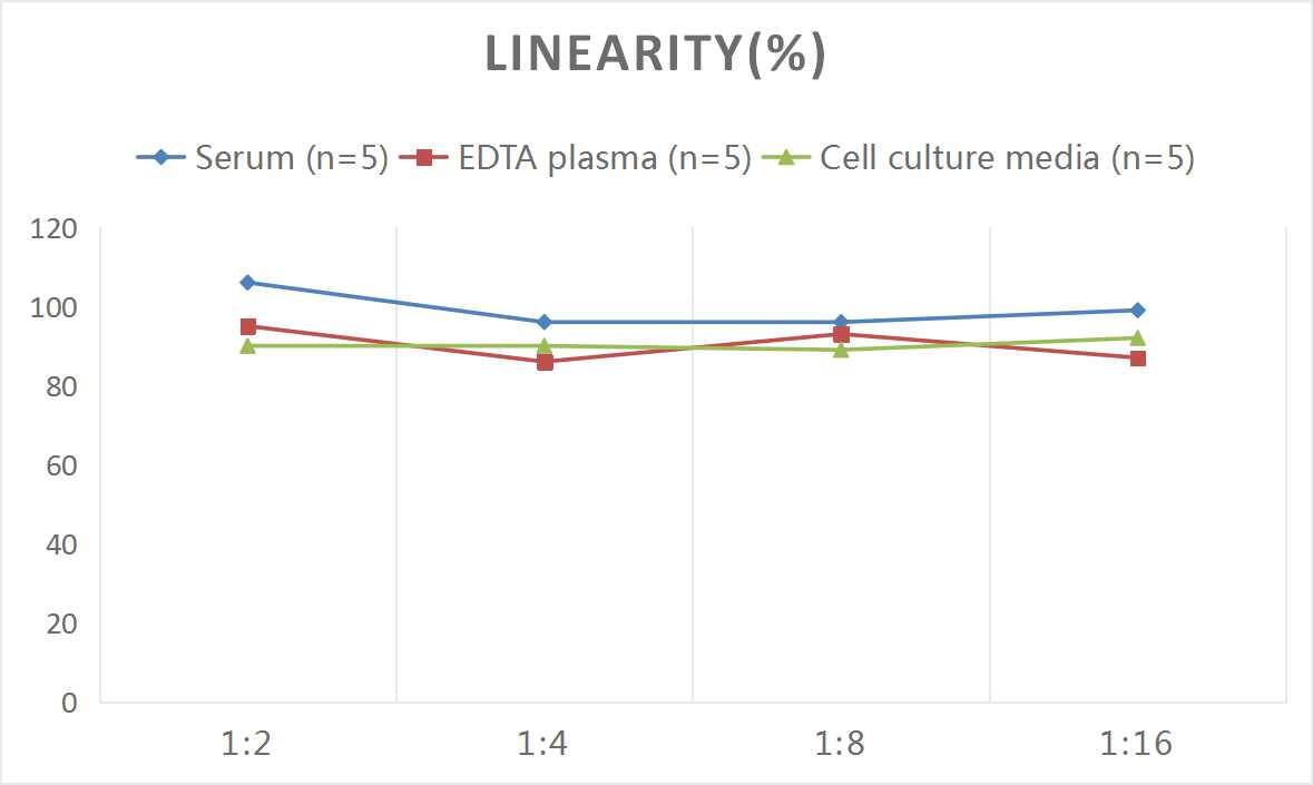 Rat Galanin ELISA Kit (Colorimetric)