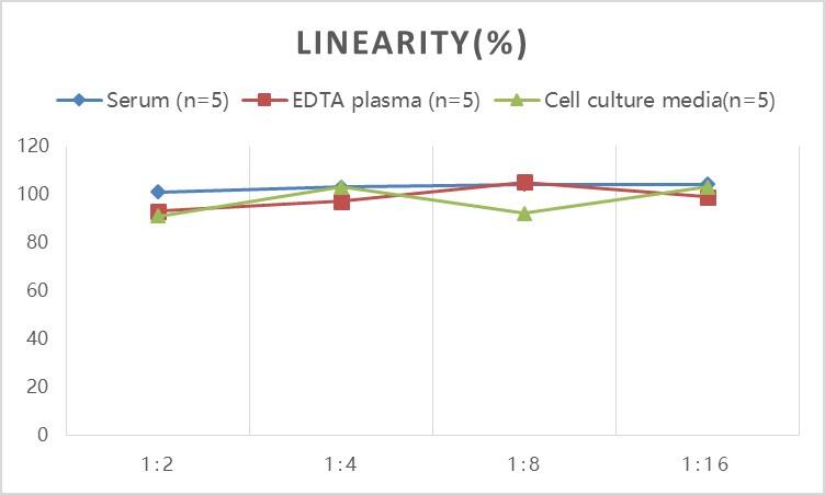 Rat Endothelin-1 ELISA Kit (Colorimetric)