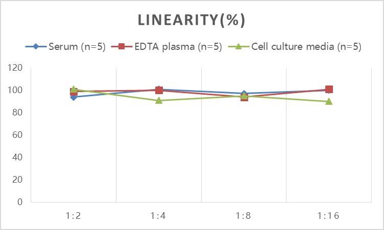 Mouse Abeta 42 ELISA Kit (Colorimetric)