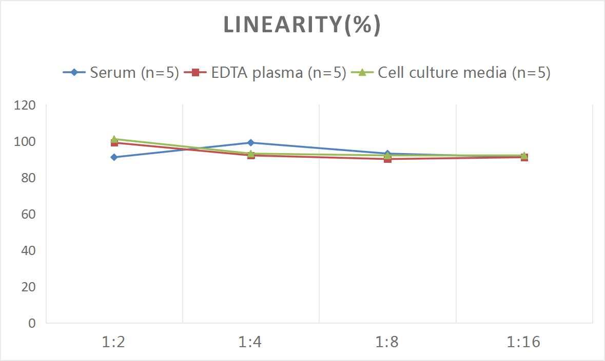 Mouse Endothelin-1 ELISA Kit (Colorimetric)