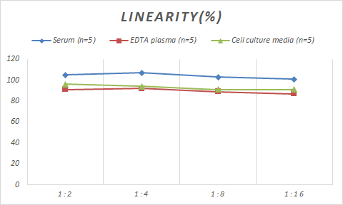 Monkey HSP40/DNAJB1 ELISA Kit (Colorimetric)