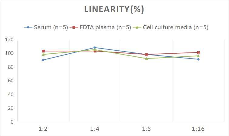 Rat Endothelin-1 ELISA Kit (Chemiluminescence)