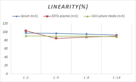 Human Ribosomal protein L26 ELISA Kit (Colorimetric)