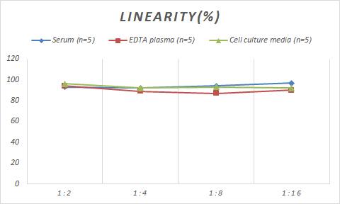 Human visinin-like 1 ELISA Kit (Colorimetric)